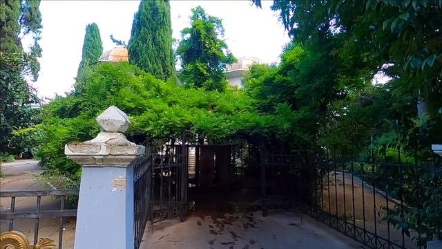  Гуляю по улицам Ялты. Собаки. Погода Набережная .Приобрел себе вкусняшки