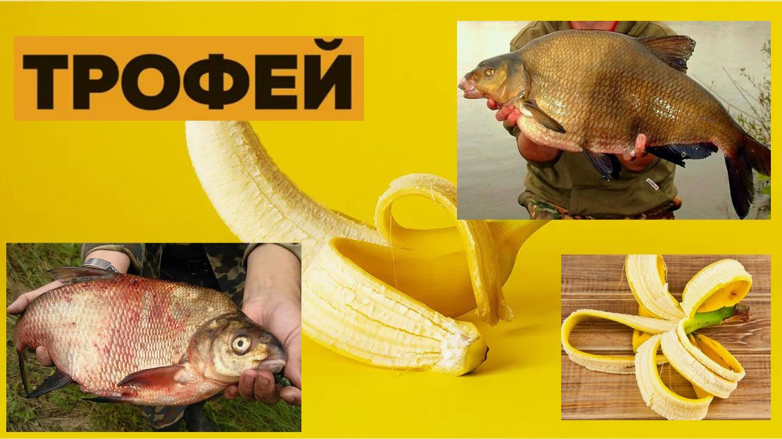 «Открой секретное оружие для ловли трофейной  рыбы— на 200% эффективнее!»