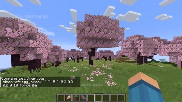 Every New 1.20 Particle In Minecraft Trails and Tails!!