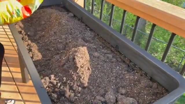Keter Easy Growing   Self Watering  Raised Bed  How To  Garden  Beginners