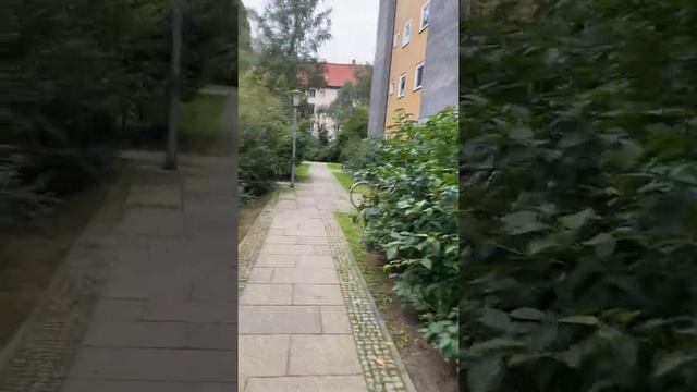 Как убирают мусор в Германии