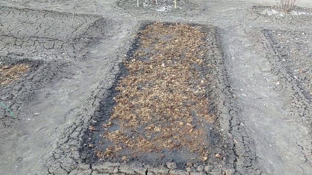 26 апреля 2023 г.