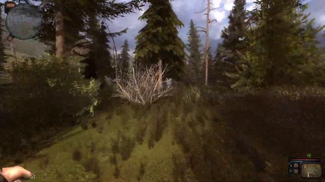 S.T.A.L.K.E.R. Возвращение в Зону. DLS путешествие. Прохождение №3: Квест странного деда  и  сюжет