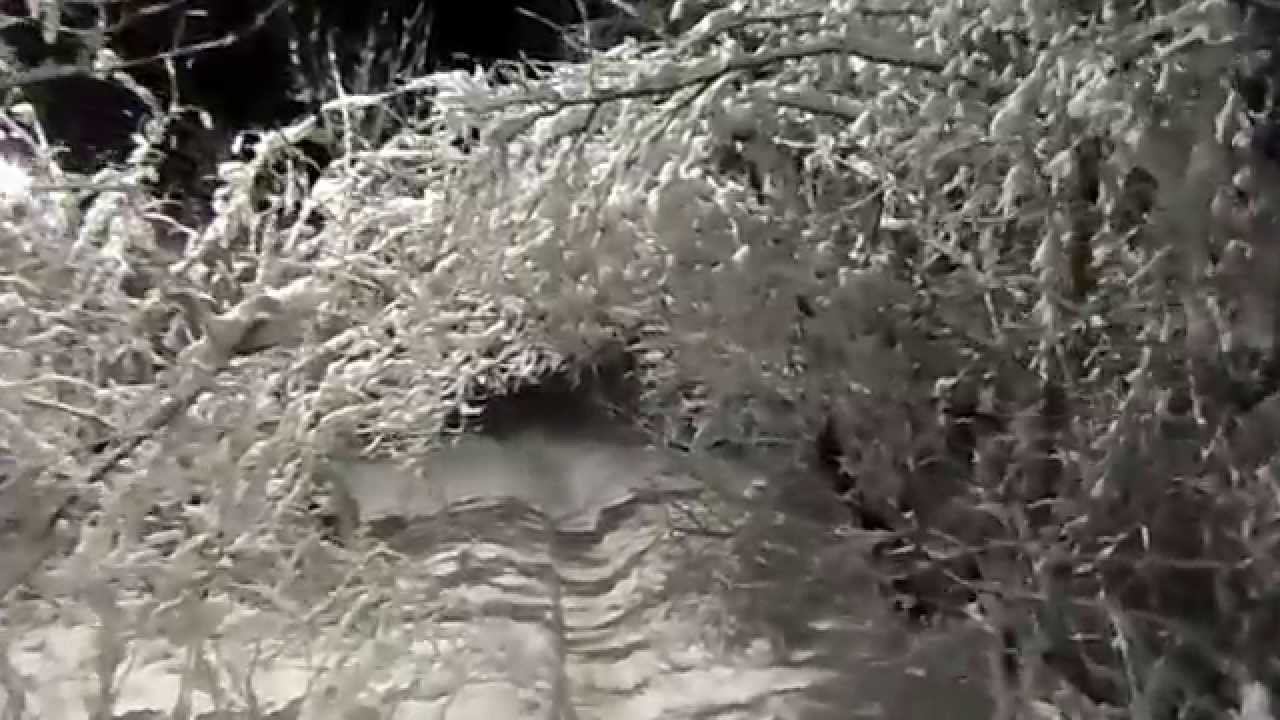 Снежная прогулка