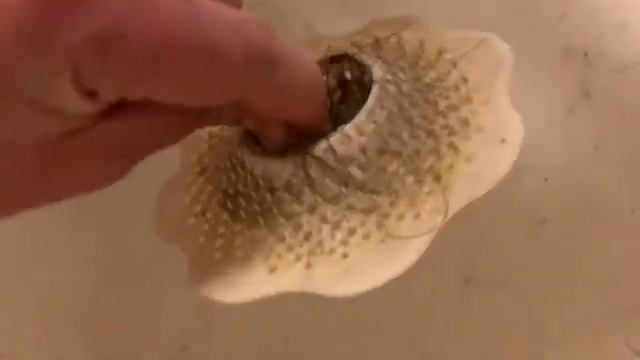 Shower Drain Hair Catcher-Stop Drain Clogs Before They Happen!
