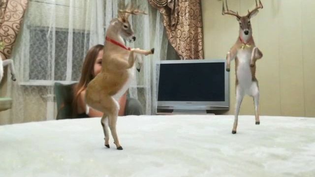 ШОК !!! Олени сбежали от Санты!!! хочешь узнать где они Сейчас? СМОТРИ!