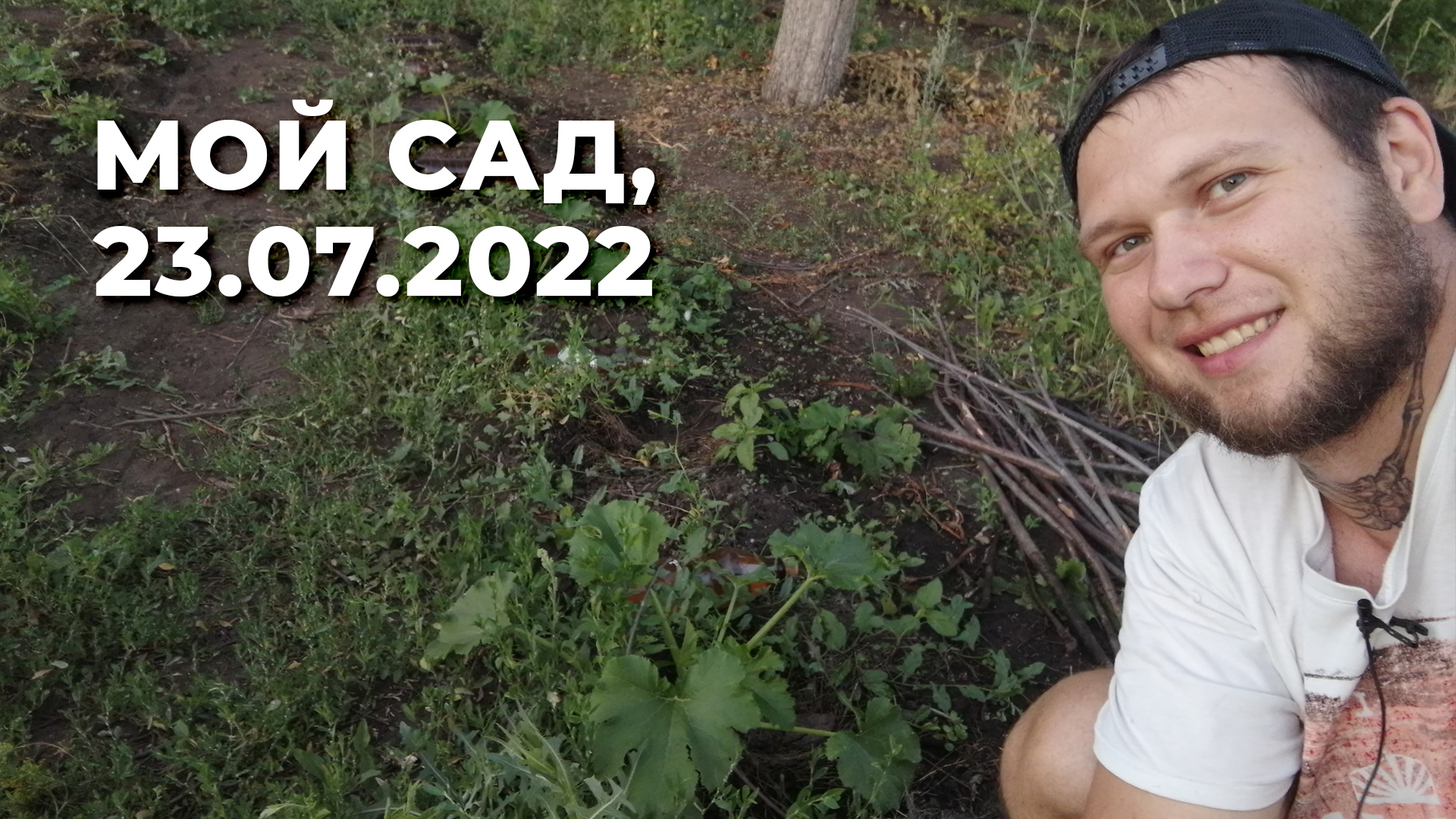 Мой сад, 23.07