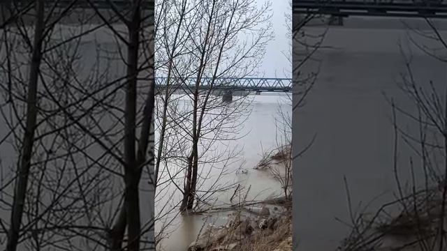 19.04.2024. Мыски, река Мрас-Су. Видео от подписчика.