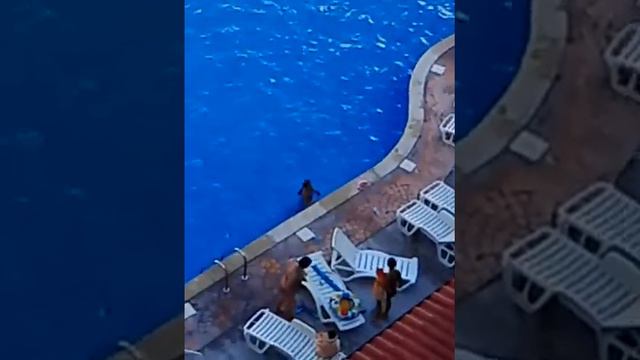 Девочка пытается сделать сальто в Болгарии