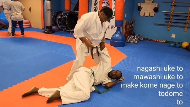 Ashihara Karate Kansetsu Waza 1