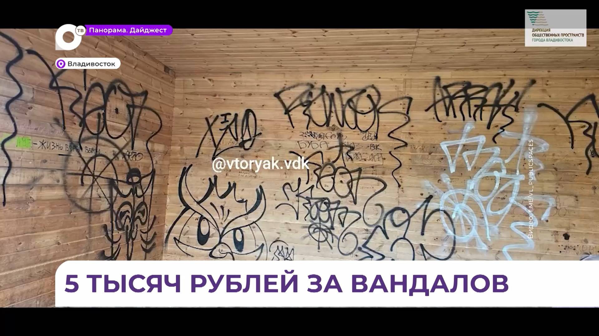 Во Владивостоке устанавливаются личности, совершившие акт вандализма в парке «Солнышко»