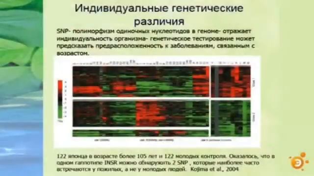 Сергей Киселев. Сможет ли человечество победить старость?