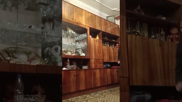 тутор по бегу,ходьбе,бегу рысью. #квадробика #хочувреки #р_е_к_о_м_е_н_д_а_ц_и_и #пжвреки