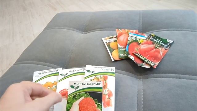 Как посеить томаты