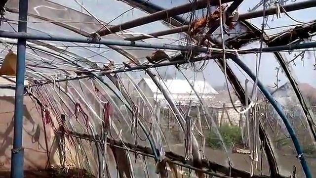 Теплица из автомобильных стёкол