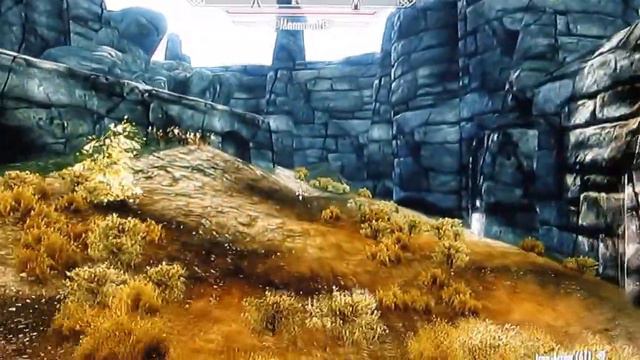 fast leveling skills for Skyrim mage and warriors characters