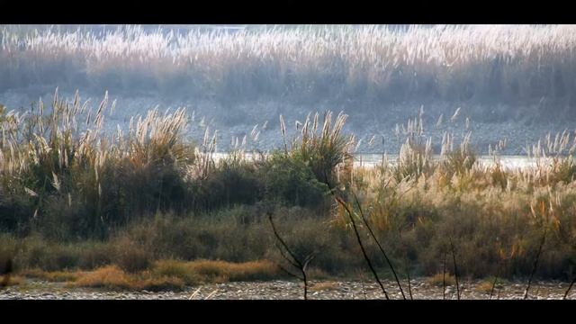 Jinma River Impression
