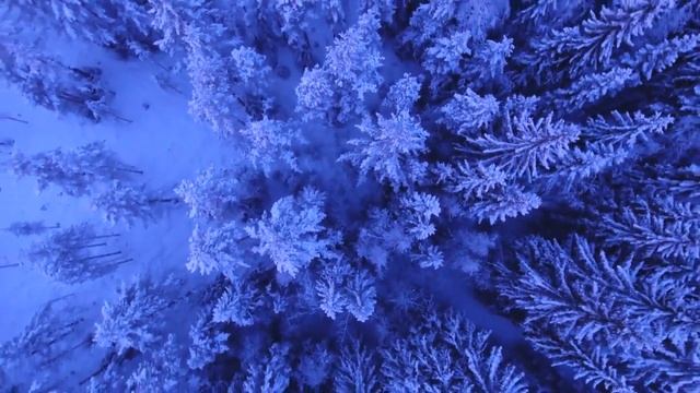 Relaxation.Красивая  музыка,   для успокоения нервной системы и прекрасного настроения!