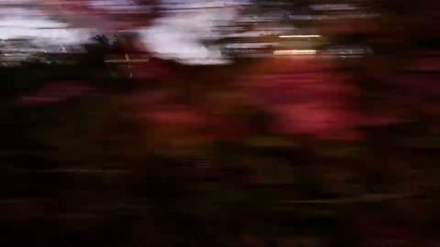 Дачный домик(по технологии фахверк)