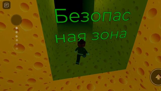 мы играем в мышь сыр