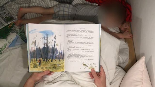 Рассказы Ю. Коваля из книги Рассказы о природе для детей. Папа читает сыну на ночь.