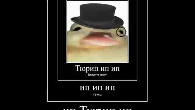 Тюреп ип ип.mp4