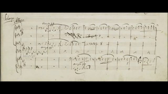 J. Brahms Piano Quintet op. 34 - III Scherzo. The Benda Musicians Sebastian Benda