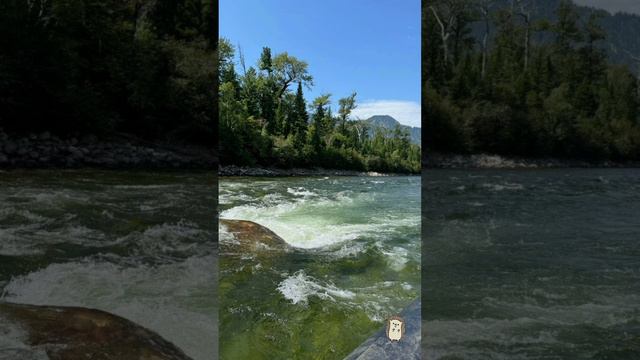 🏞 Река Снежная однозначно входит в число красивейших мест России