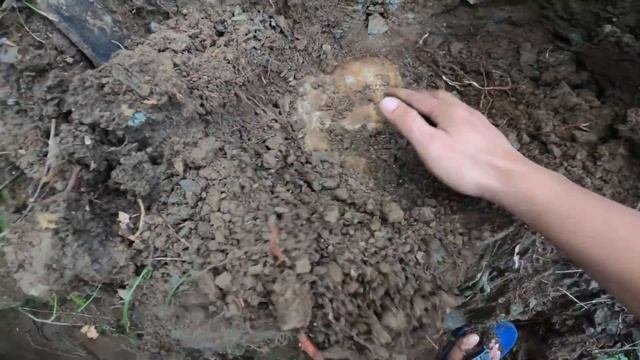 YAMASHITA TREASURE BOX FOUND IN THE PHILIPPINES GOLD BARS INSIDE