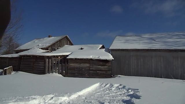 20 калибр,сокол-1,5гр, №7-28 гр и сужения 1,0/0,75. 40 шагов!)))