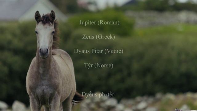 THE STEPPE: Horse Lords, Koryos Beserkers, and The Yamnaya