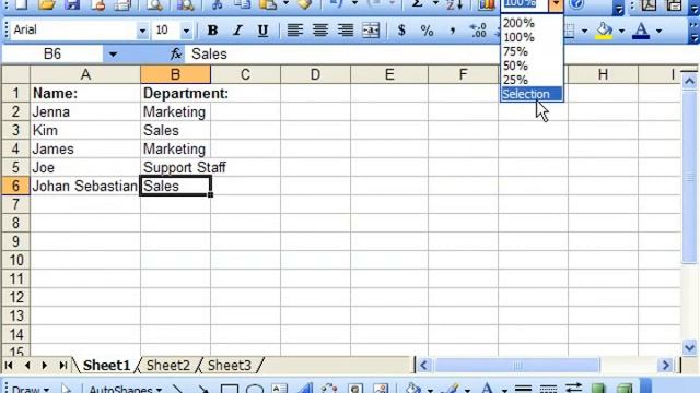 Excel 2003 Tutorial Zooming the Spreadsheet Microsoft Training Lesson 2.11