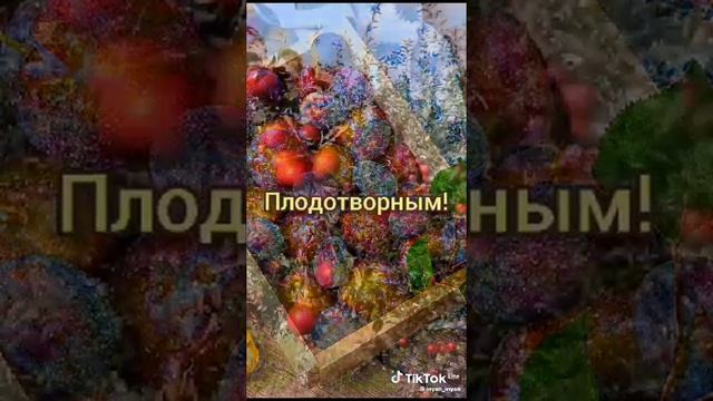 МАЛИНА