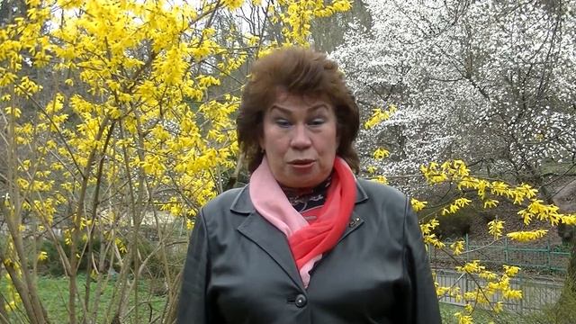 Притча,  Про мешок с золотом. Наталья Кучеренко.