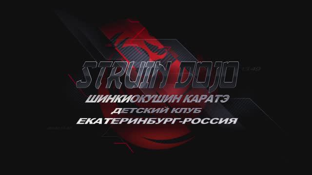 Детский клуб каратэ STRUIN DOJO