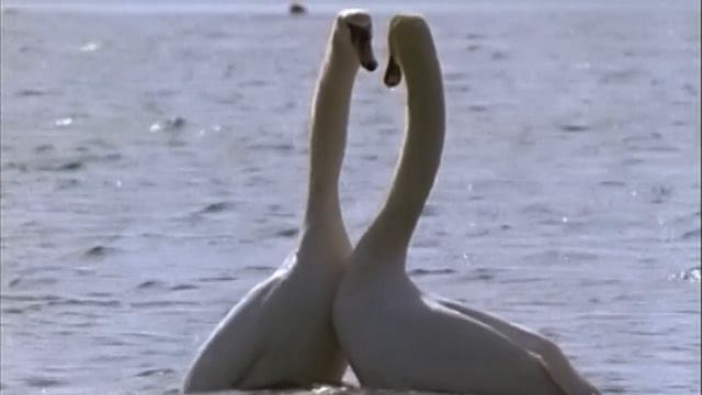 Море