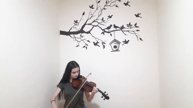 Experience Ludovico Einaudi - violin cover by ZUZU KERIMLI