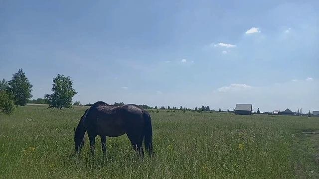 решили дойти до речки,покупаться,побег,и ещё побег🤭😄