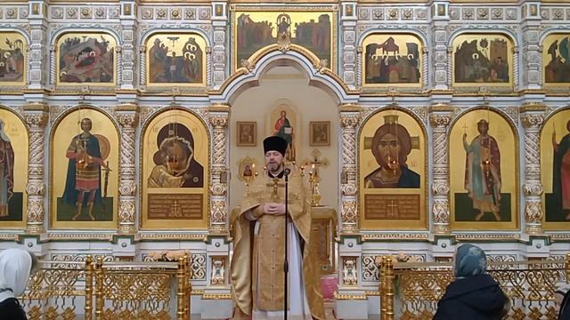 31 октября. Св.ап Лука. Проповедь