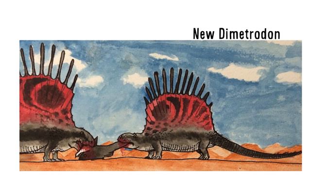 Paleo Profile - Dimetrodon