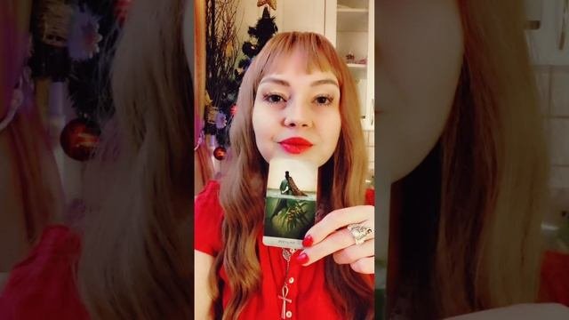 Консультация 10