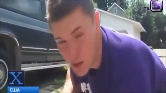 Рогатого кролика удалось снять на видео в США \ Horned Rabbit Managed To Shoot The Video In The US
