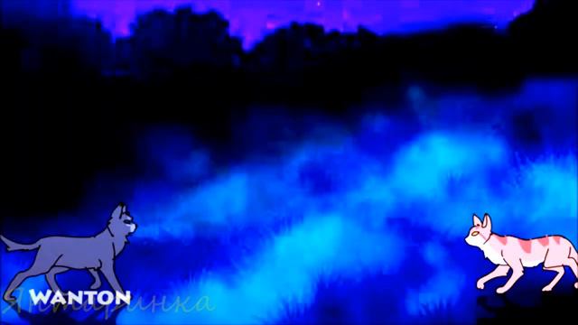 [Грач и Листвичка]~Це вона(зiрка)~ЗакаЗ~