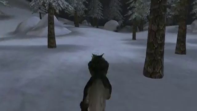 Secrets of Morrowind II