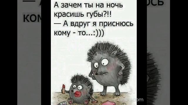 после завтрака 15.09 2