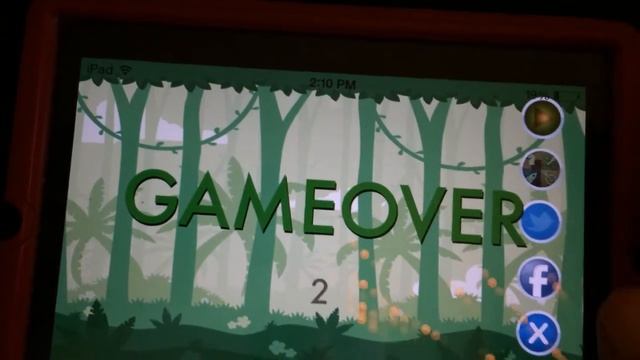 The Flying Turtle Game