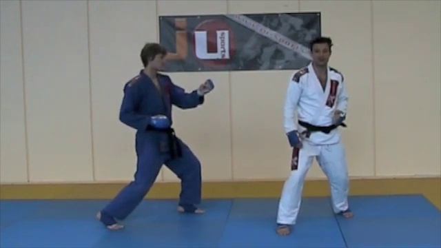 Lesson 1 Basic Position (Atemi Fighting) - Jiu-Jitsu Fighting Lesson (JJIF) Basics Part 1