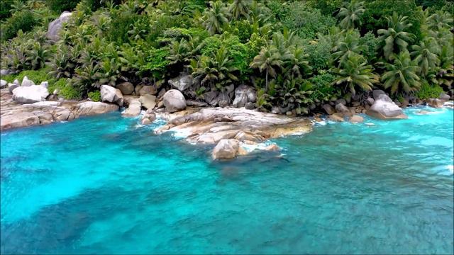 Ocean Ambience on a Tropical Beach with Relaxing Ocean Waves Calming and Soothing