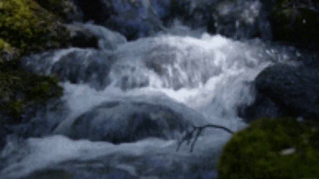 Красивая Спокойная Музыка с Пением Птиц.