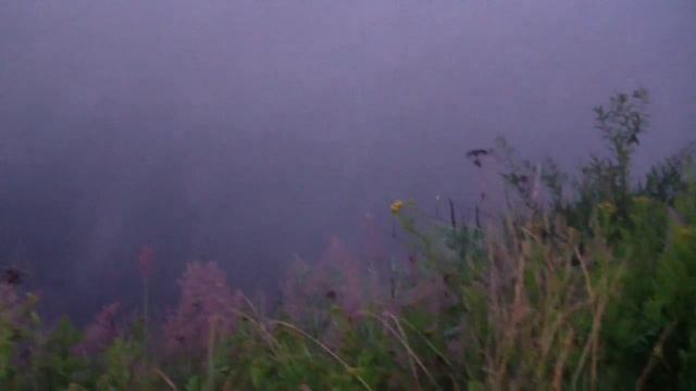 На Волге. Старое Мелково 06.07.14